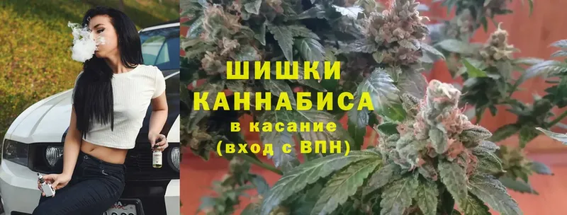 Шишки марихуана планчик  цена   Куйбышев 